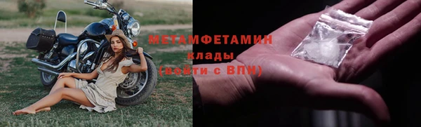 прущие грибы Зеленокумск