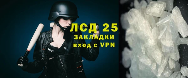 прущие грибы Зеленокумск