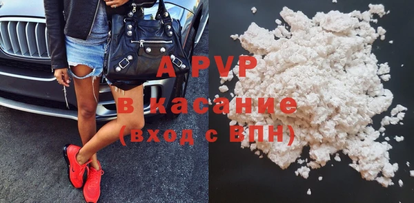 прущие грибы Зеленокумск