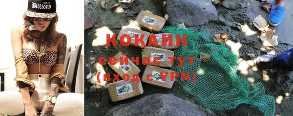 прущие грибы Зеленокумск