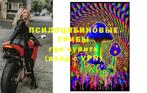 гидра Зеленодольск