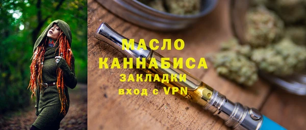 гидра Зеленодольск